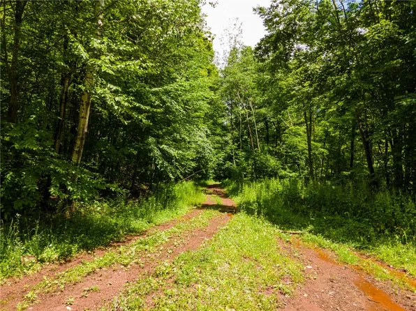 0 McMurdy Hill Rd, South Kortright, NY 13842