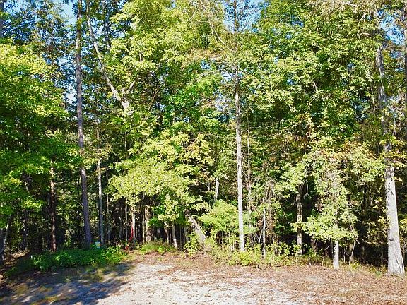 3rd image of 1719 Rebekah Ridge Rd