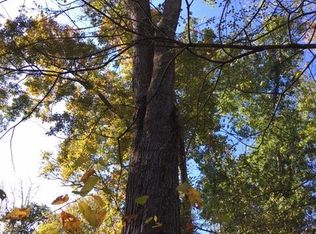 Pine Mountain Rd, Lock haven, PA 17745