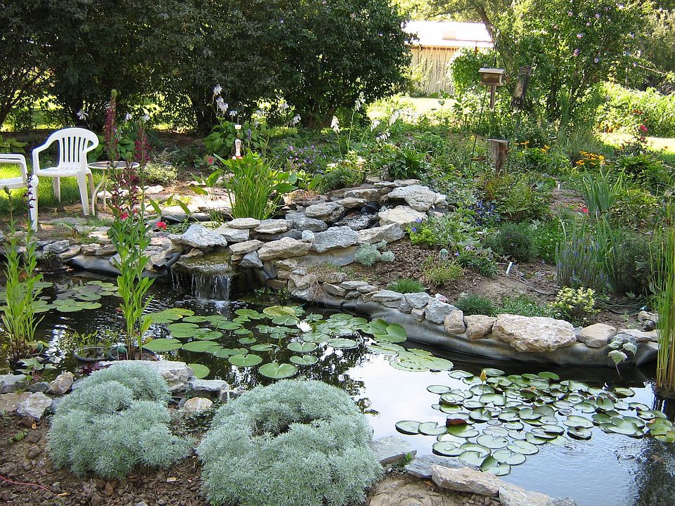 Garden Pond