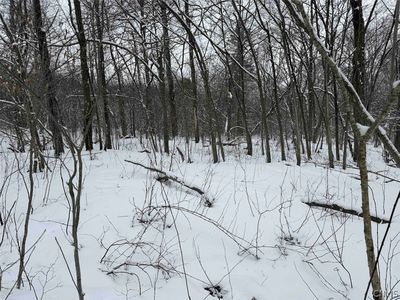 Cemetery Hill Rd, Franklinville, NY, 14737