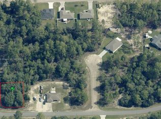 6975 N Lynn Point, Citrus Springs, FL 34434