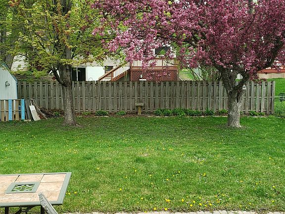 Backyard from house