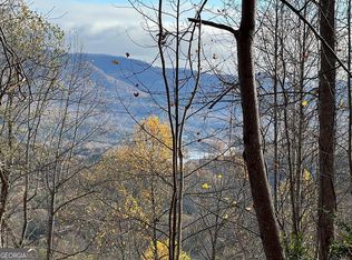 TRACT 1 Hidden Summit Rd, Hiawassee, GA 30546