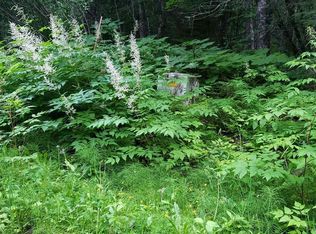 Nhn Skedadle Rd N Lot 9, Haines, AK 99827