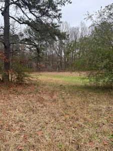 160 Posey Dr, Florence, AL, 35633