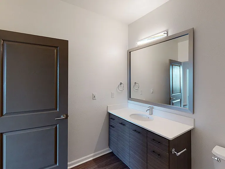 Apartment bathroom with wood-style flooring.