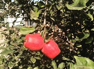 22034 Selwyn Ave, Carson, CA 90745