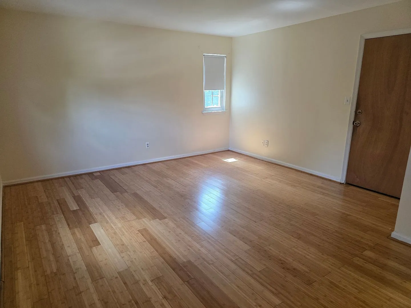 Bright & Spacious 2-Bedroom, 1 Bath Unit — Photo 3