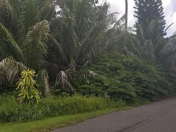 3rd image of Kipuka St