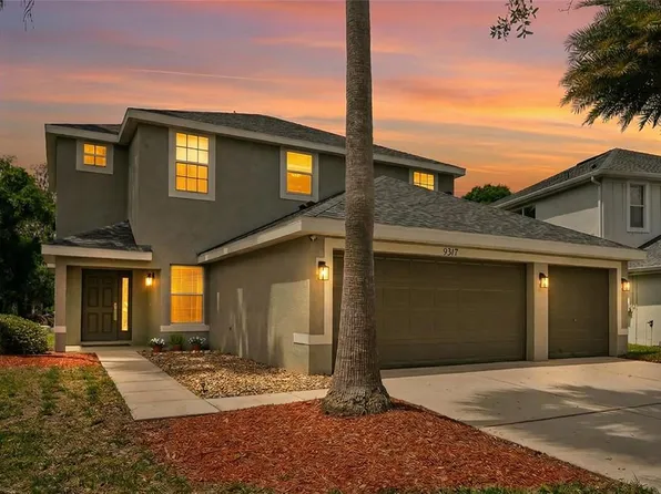 9317 Mandrake Ct, Tampa, FL 33647