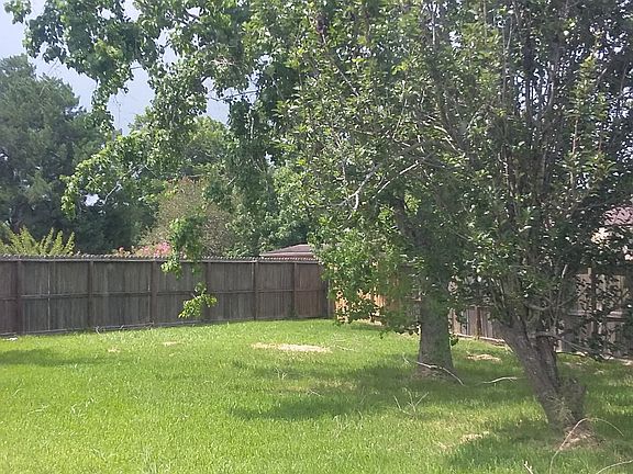 Large back yard.