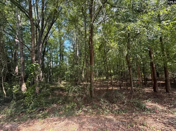 3938 Timrod Rd, Bethune, SC 29009