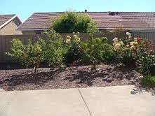 5th image of 252 Stags Leap Ln