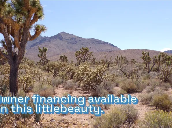 18209 N Scenic Dr, Dolan Springs, AZ 86441