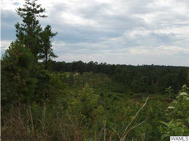 2nd image of 11456 Will Walker Rd