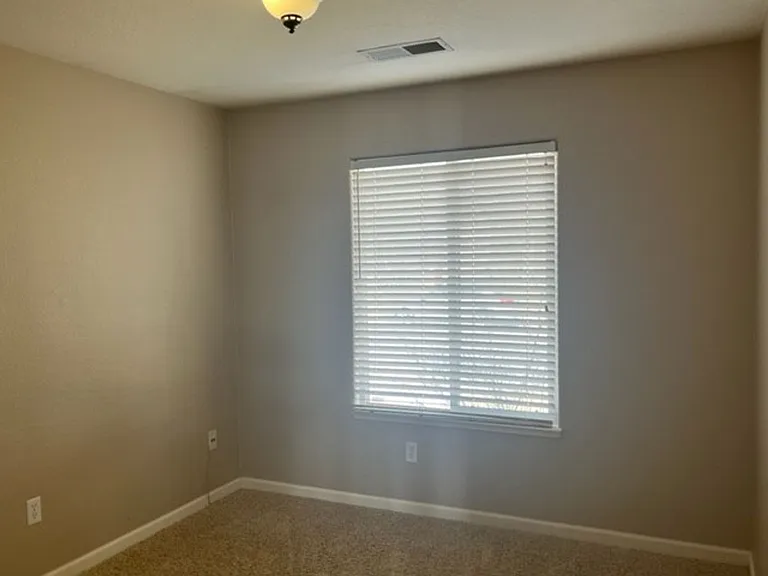 1736 River Gorge Ct — Photo 10