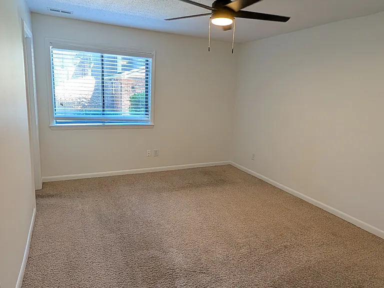 303 Oak Tree Dr — Photo 18