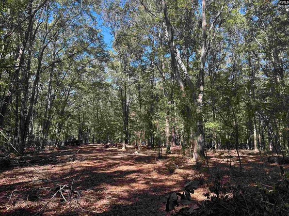 0 Swamp Rabbit Rd Tract A, Leesville, SC 29070