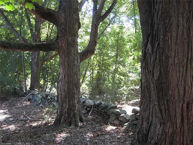 2nd image of 61 Canterbury Tpke