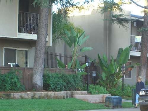 1st image of 1045 Peach Ave Unit 46