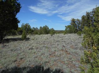 1941 Daggs Cir LOT 24, Show Low, AZ 85901
