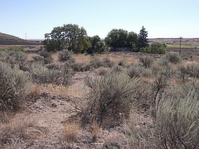 2nd image of Tbd B St