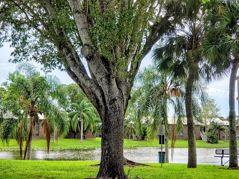 Lake View Villas — Photo 19