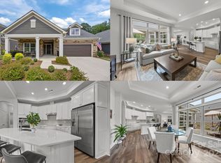 1113 Headwaters Ct, Matthews, NC 28104