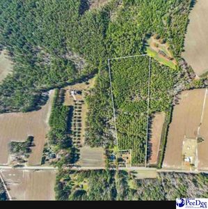 2315 Cale Yarborough Hwy, Timmonsville, SC, 29161
