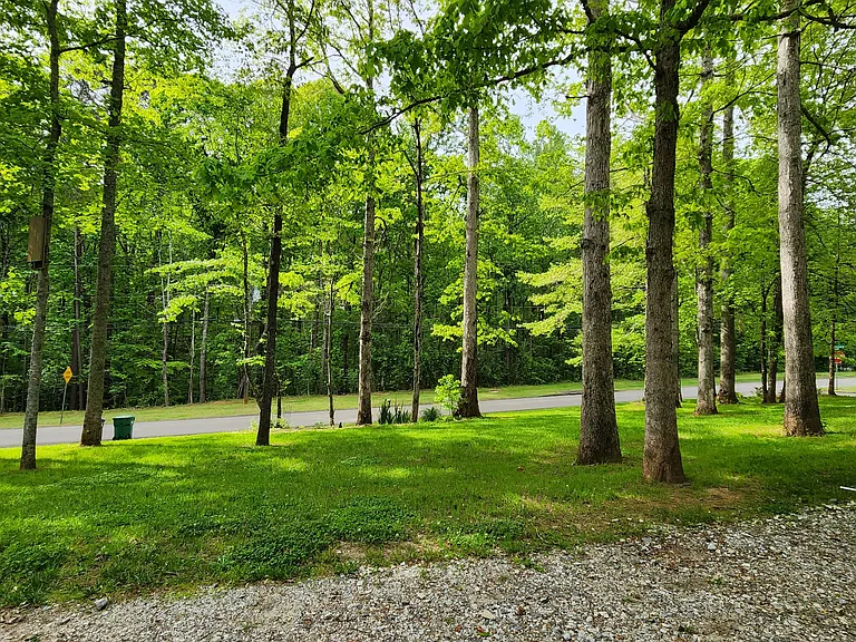 Side Yard