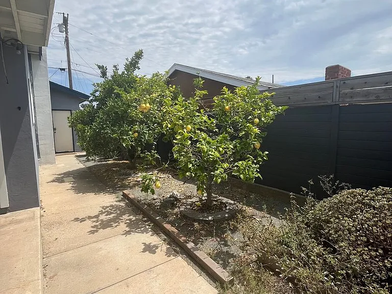 3534 Mount Abbey Ave — Photo 15