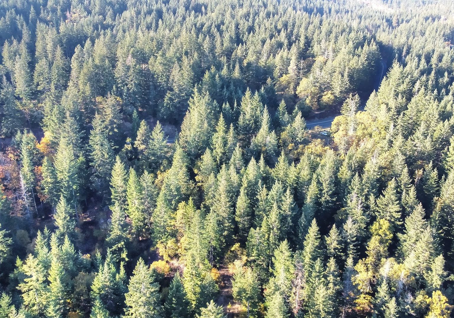 518 Canyon Rd, Lyle, WA 98635 MLS 22477911 Zillow