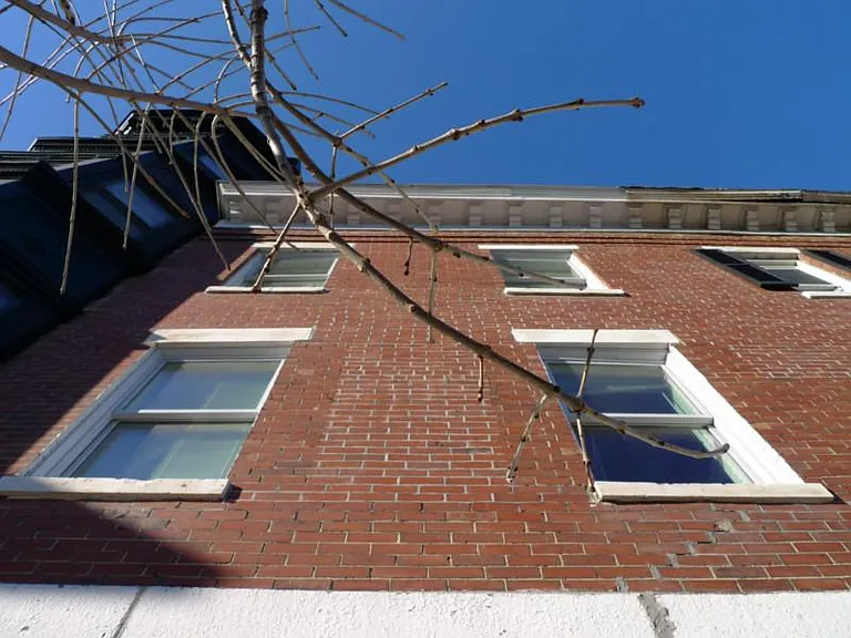 1017 Tremont St #7 — Photo 5