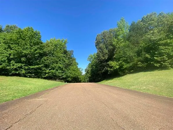 8930 Freeman Oaks Cv, Cordova, TN 38018