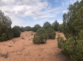 Concho Hwy, Concho, AZ 85924