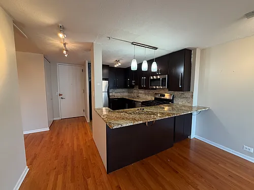 1960 N Lincoln Park West Ave #1111 Photo 1