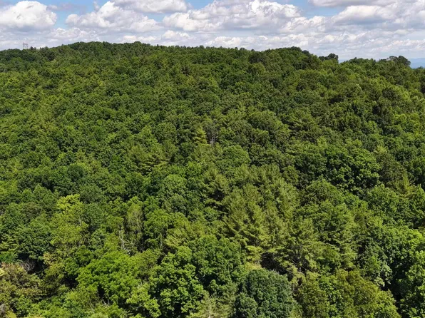 Broad Shoals Rd, Riner, VA 24149