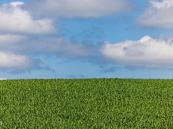 3rd image of 370th St