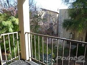 C:\fakepath\P1000292