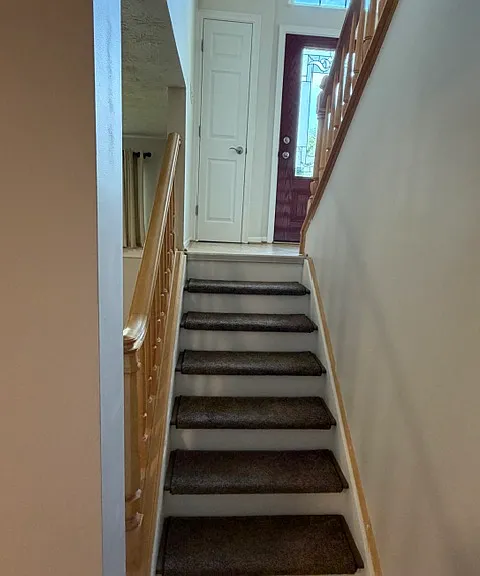 8625 Toronto Ct — Photo 21