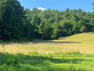 (Undisclosed Address), Abingdon, VA, 24210