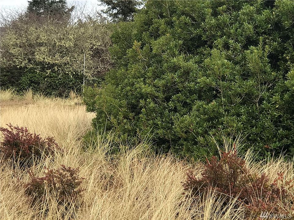 2nd image of 393 Ocean Shores Blvd SW