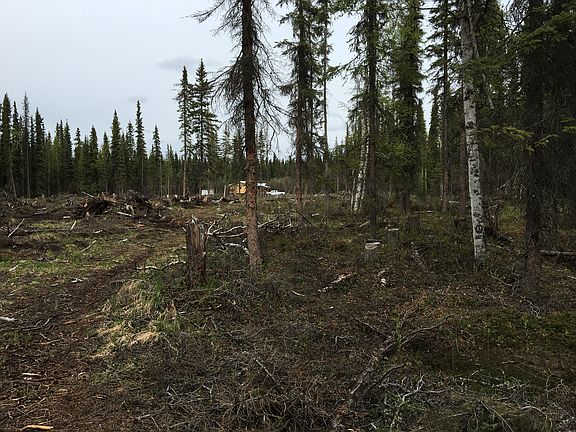 5th image of 6411 Old Richardson Hwy