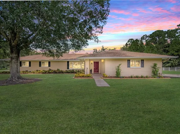 7537 Tallowtree Dr, Wesley Chapel, FL 33544
