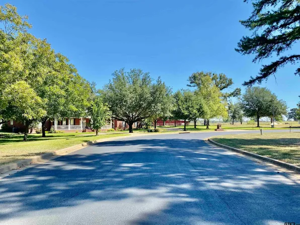 LOT 30 Easy St, Frankston, TX 75763