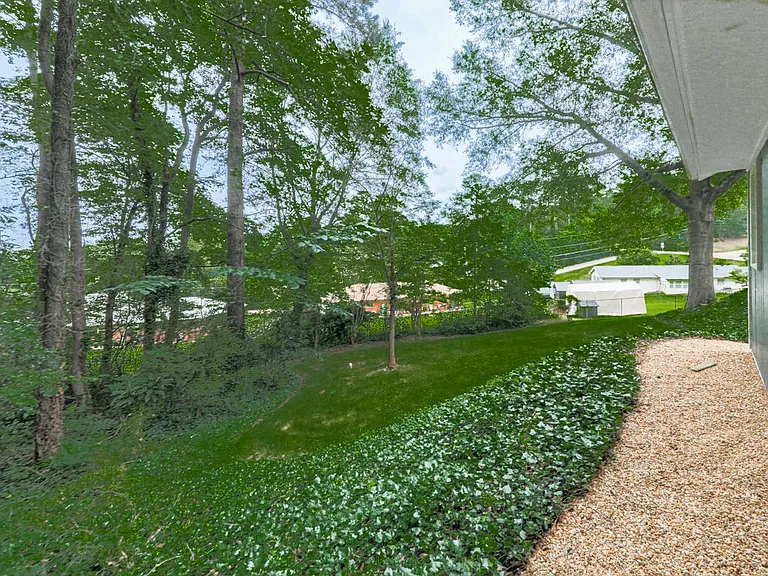 Lower Backyard