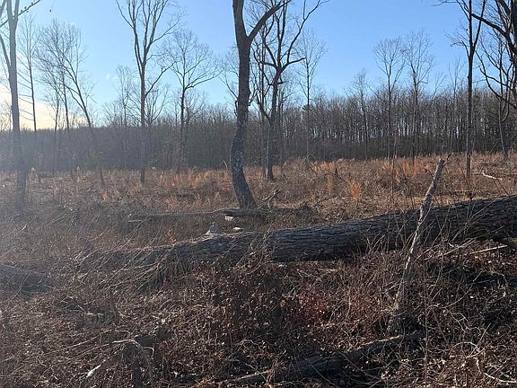 3rd image of 9 County Road 641