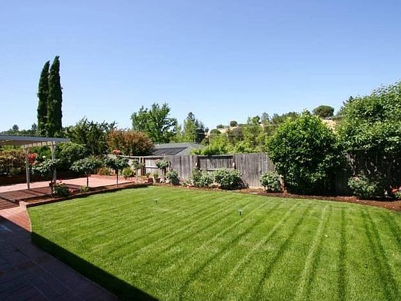 Grass backyard