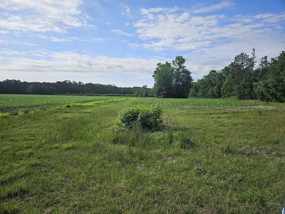 2nd image of 74.03 Acres - Highway 917